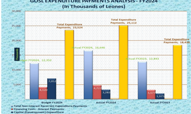 Government Overspends by Over NLE 4 Billion in 2024