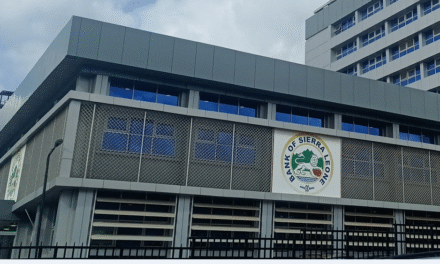 Just 5 Banks Control Two-Thirds; 66% of Financial Sector Assets – World Bank