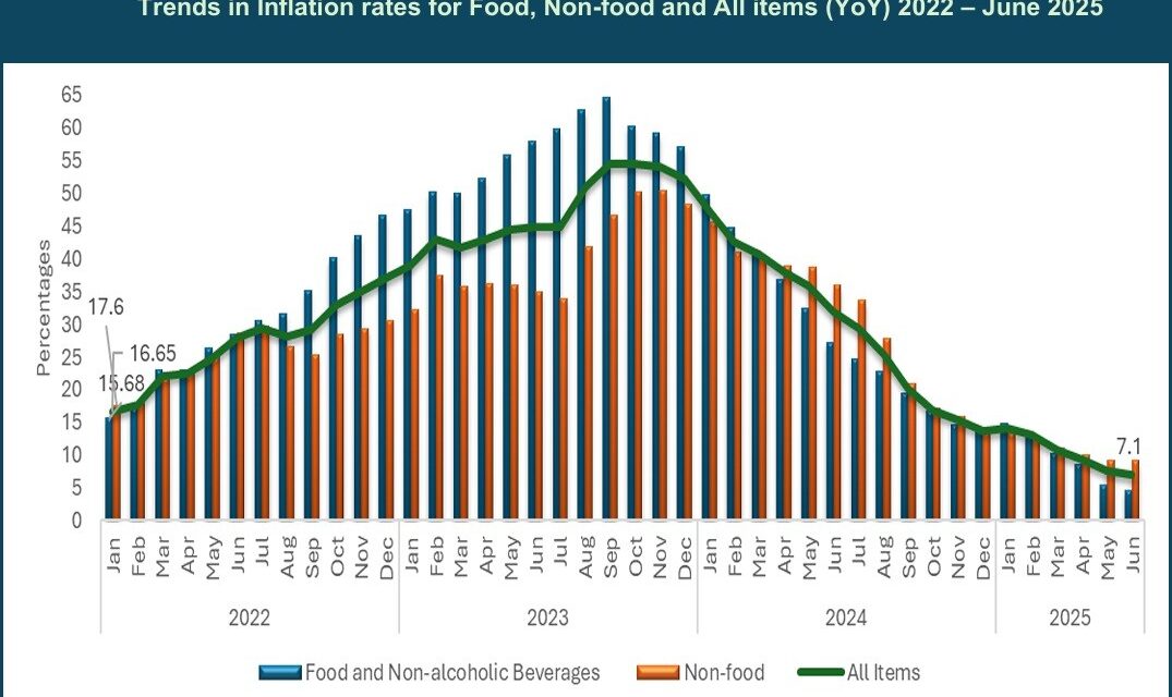 Inflation Falls to 7.1% in June 2025, Marking Steepest Decline in 3 Years