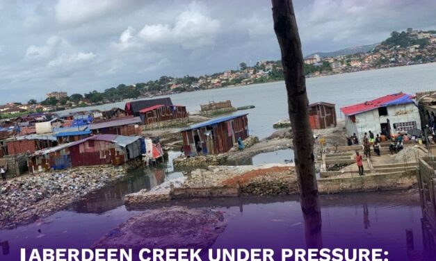 Aberdeen Creek Under Pressure: Mayor Raises Alarm Over Wetland Encroachment