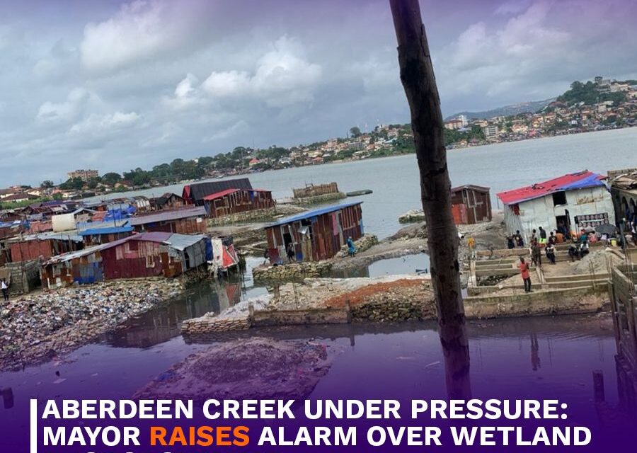 Aberdeen Creek Under Pressure: Mayor Raises Alarm Over Wetland Encroachment