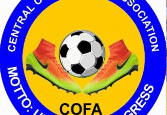 COFA League Ignites Parade Field