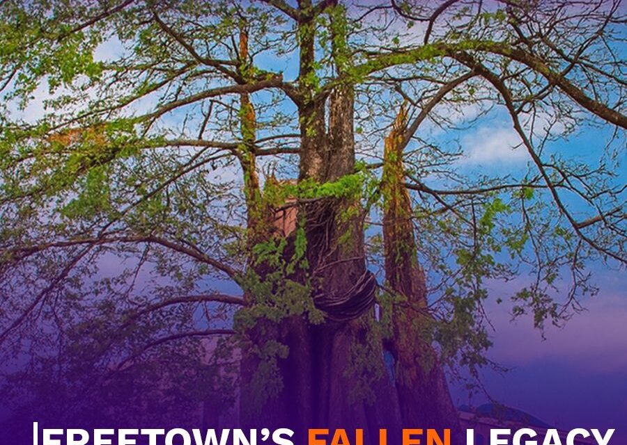 Freetown’s Fallen Legacy