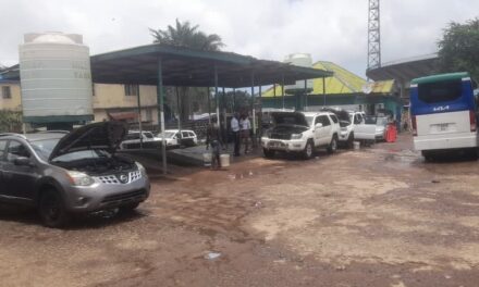 Audit Uncovers Gaps in Youth Car Wash Project