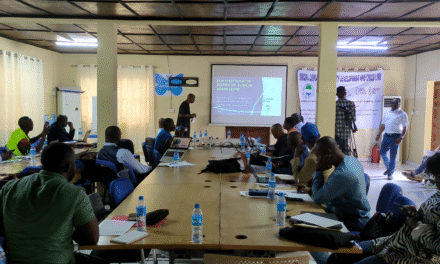 Campaigners Demand Urgent Response to Sierra Leone’s Unrelenting Drug Crisis