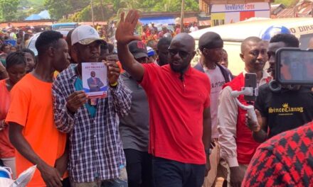 Ady Macauley Engages Market Women and Fisherfolk in Waterloo and Tombo