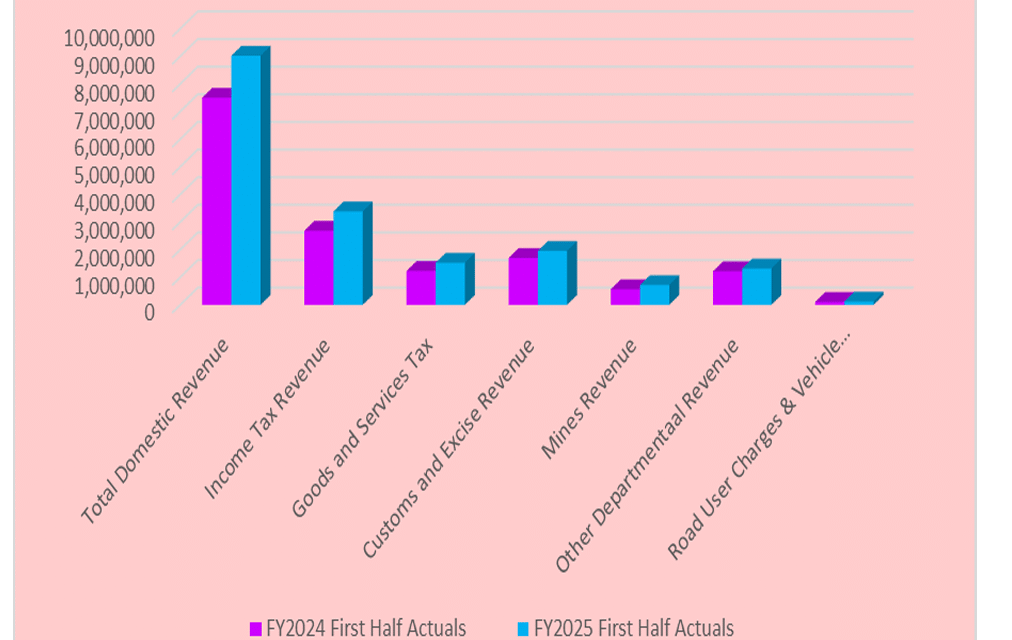Domestic Revenue Up 20%: But Q1 Shortfall Affects Growth