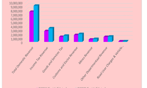 Domestic Revenue Up 20%: But Q1 Shortfall Affects Growth