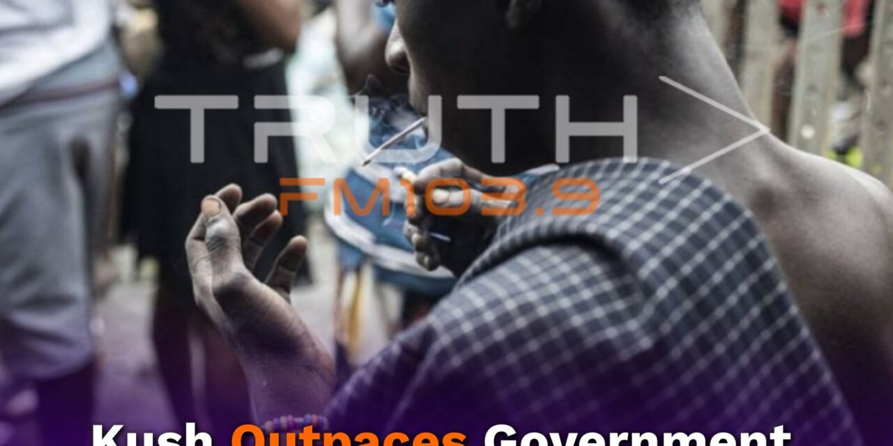 Kush Outpaces Government Efforts   