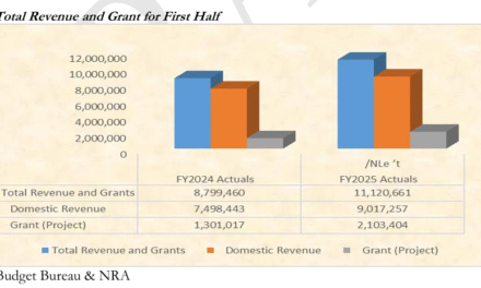 Revenue Rises, But Falls Short of Target