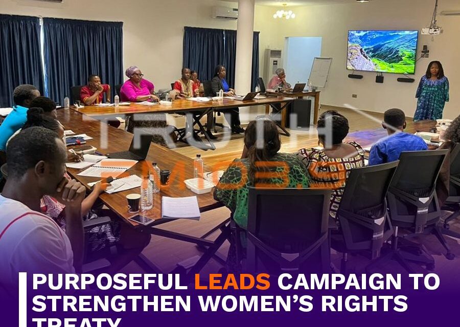 Purposeful Leads Campaign to Strengthen Women’s Rights Treaty