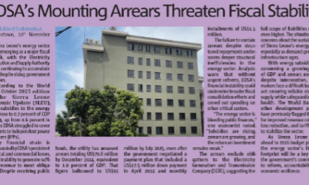 EDSA’s Mounting Arrears Threaten Fiscal Stability