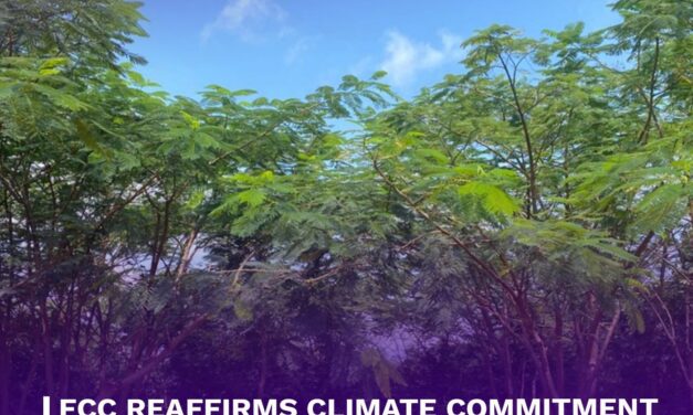 FCC Reaffirms Climate Commitment With Ambitious Tree-Tracking Drive