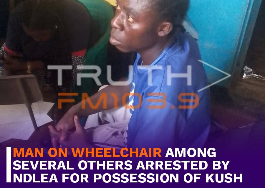 Man on Wheelchair among Several Others Arrested by NDLEA for Possession of Kush