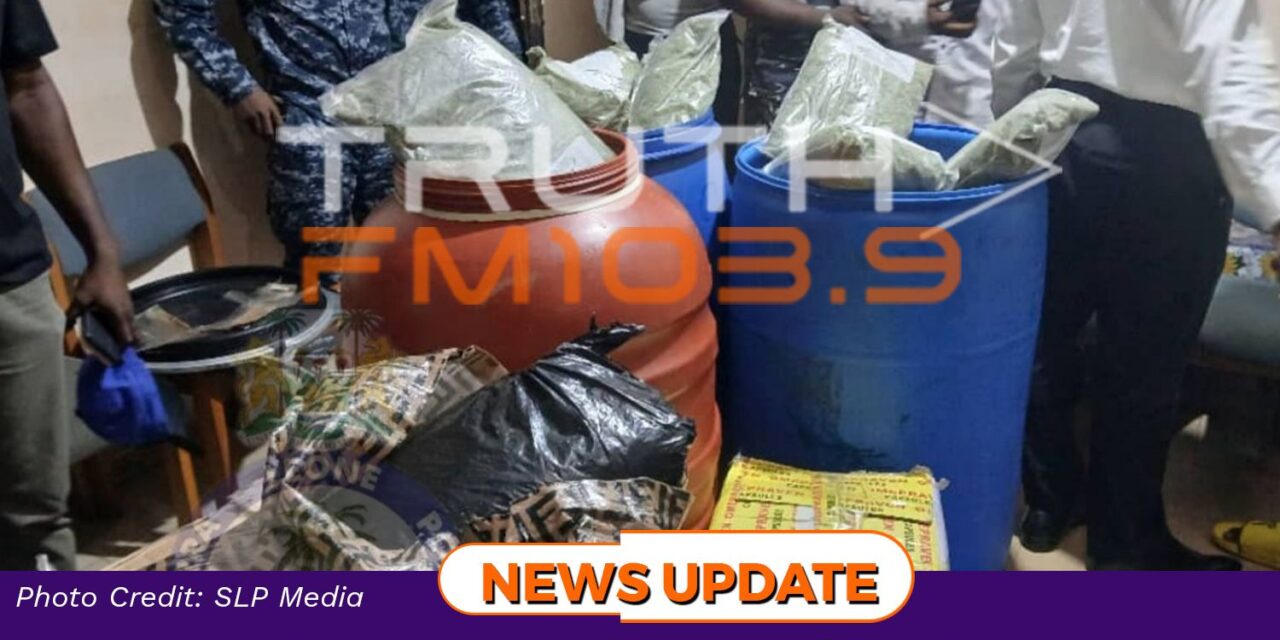 SLP Intercept Massive Kush Consignment in Western Freetown