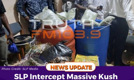 SLP Intercept Massive Kush Consignment in Western Freetown