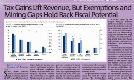 Tax Gains Lift Revenue, But Exemptions and Mining Gaps Hold Back Fiscal Potential