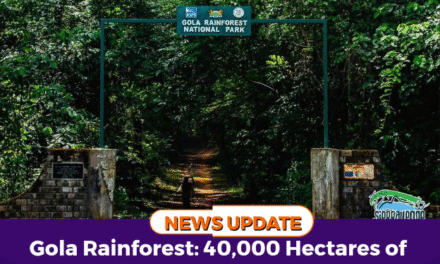 Gola Rainforest: 40,000 Hectares of Biodiversity Sustaining Livelihoods and Securing Futures