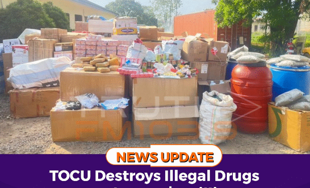 TOCU Destroys Illegal Drugs Worth Over $1 Million
