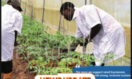 SLEDP Mid-Year Update Highlights Innovation and Growth in Sierra Leone