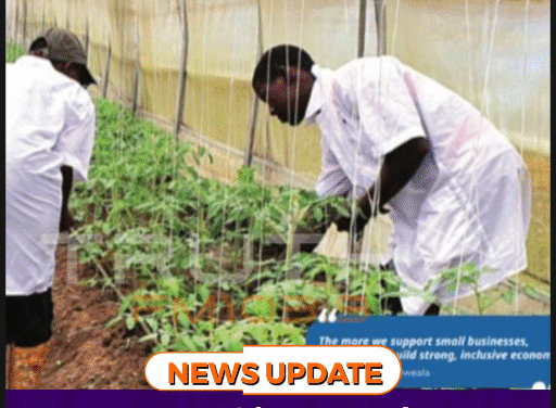 SLEDP Mid-Year Update Highlights Innovation and Growth in Sierra Leone