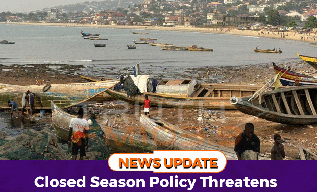 Closed Season Policy Threatens Survival of Funkia’s Fishing Families   