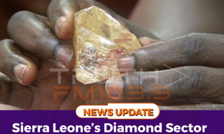 Sierra Leone’s Diamond Sector Faces Steep Decline: Exports Fall 79%, Revenues Down 81%