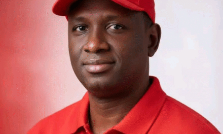 DIB Movement Calls for Peace and Decorum in APC Internal Elections