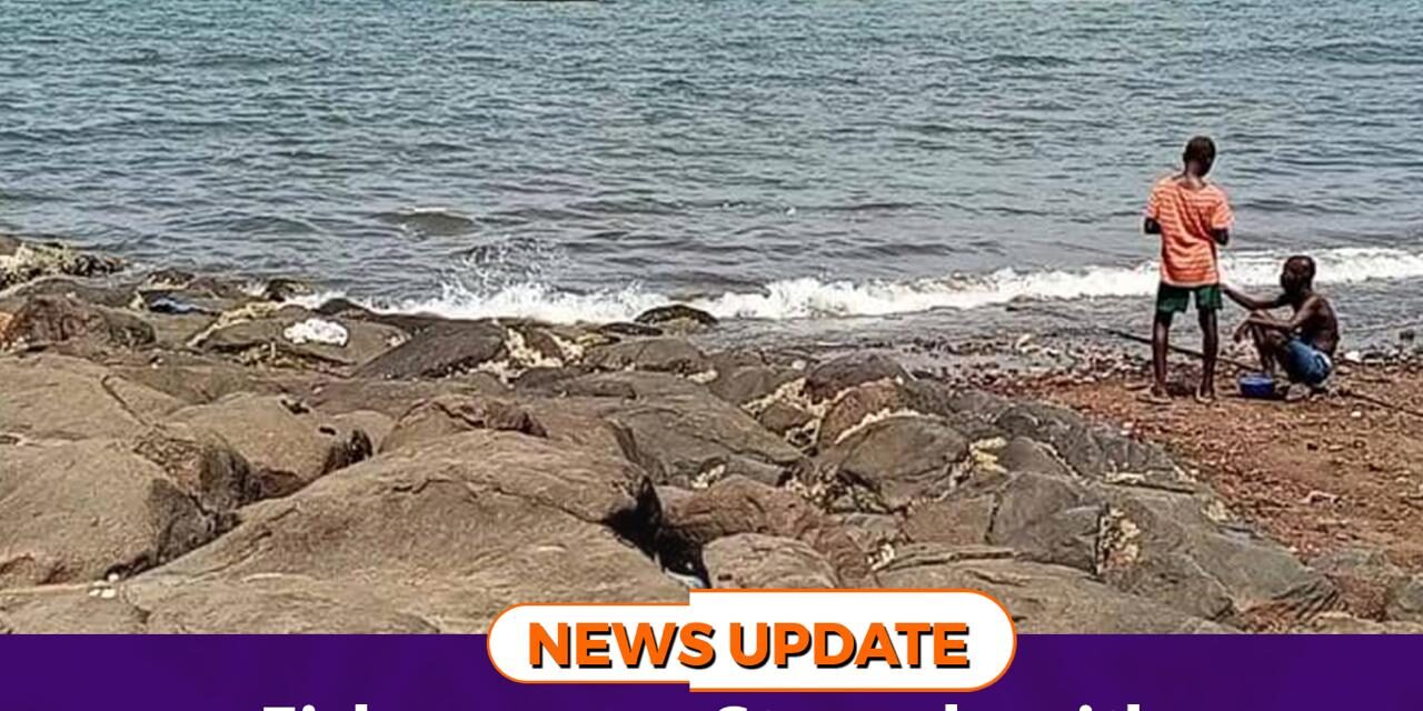 Fishmongers Struggle with Scarcity and Soaring Prices During Closed Fishing Season