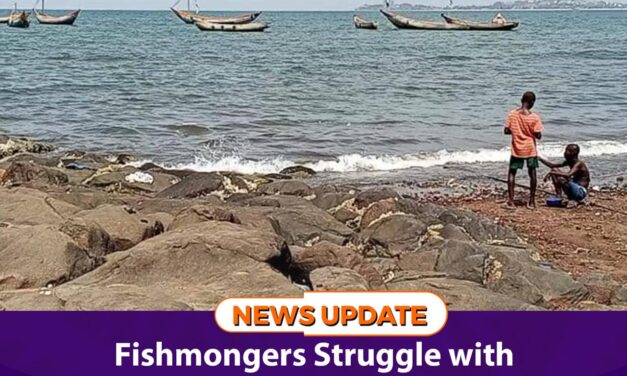 Fishmongers Struggle with Scarcity and Soaring Prices During Closed Fishing Season
