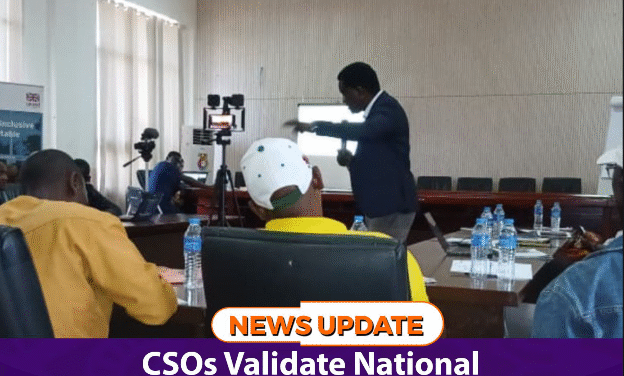 CSOs Validate National Gender Paper on 30% Quota