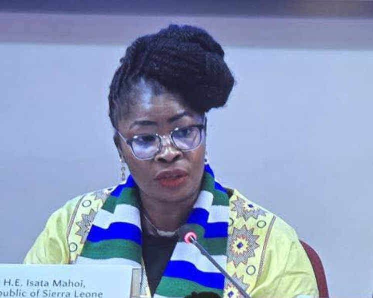ECOWAS Ministers Call for Removal of Financial Barriers to Women’s Political Leadership