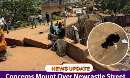 Concerns Mount Over Newcastle Street Bridge Two Years After Closure