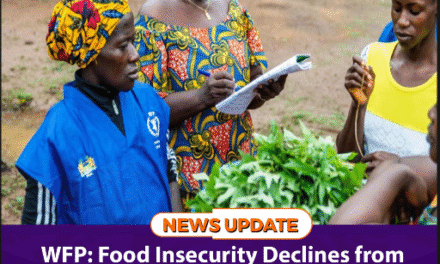 WFP: Food Insecurity Declines from 28% in 2023 to 13% in 2025