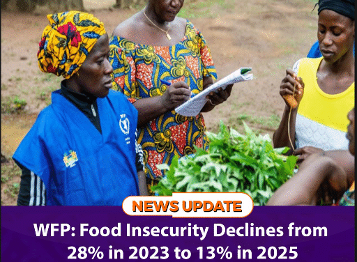 WFP: Food Insecurity Declines from 28% in 2023 to 13% in 2025