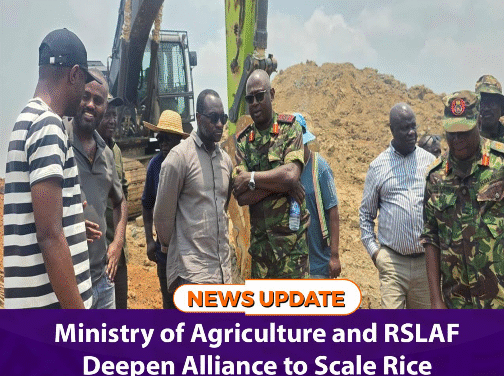 Ministry of Agriculture and RSLAF Deepen Alliance to Scale Rice Production in Tormabum