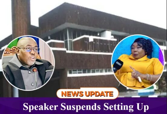 Speaker Suspends Setting Up Ad Hoc Committee to Investigate NEW
