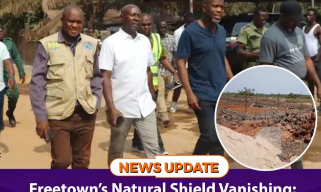 Freetown’s Natural Shield Vanishing: NPAA Halts Activities on Encroached Wetlands