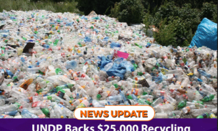 UNDP Backs $25,000 Recycling Project to Tackle Freetown’s Plastic Crisis