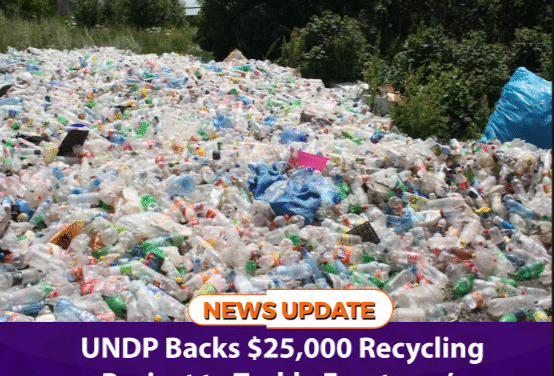 UNDP Backs $25,000 Recycling Project to Tackle Freetown’s Plastic Crisis