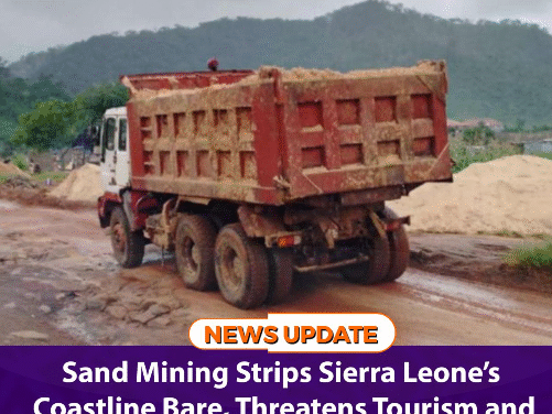 Sand Mining Strips Sierra Leone’s Coastline Bare, Threatens Tourism and Livelihoods – World Bank Study Warns