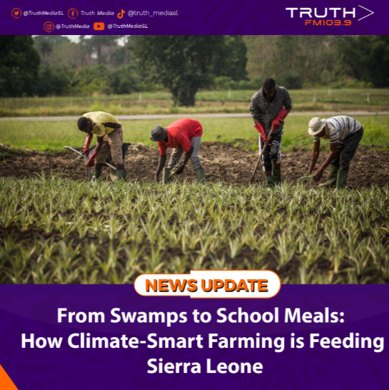 From Swamps to School Meals: How Climate-Smart Farming is Feeding Sierra Leone