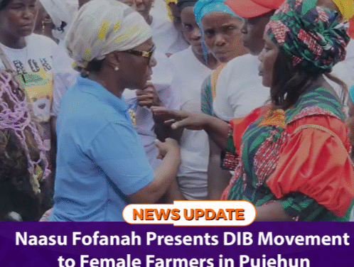 Naasu Fofanah Presents DIB Movement to Female Farmers in Pujehun