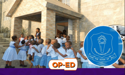 Modern Elementary School @ 30: From Adversity to Triumph