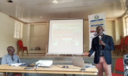 LEWAF Engages Stakeholders to Tackle Violence Against Women and Girls