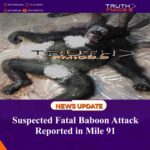 Suspected Fatal Baboon Attack Reported in Mile 91