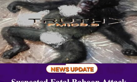 Suspected Fatal Baboon Attack Reported in Mile 91