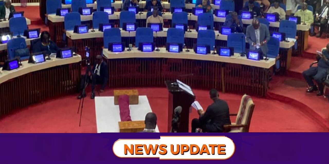 MPs Demand Special Security Protection as Debate on National Security and Central Intelligence Bill Continues