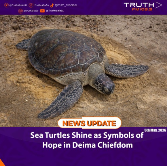 Sea Turtles Shine as Symbols of Hope in Deima Chiefdom