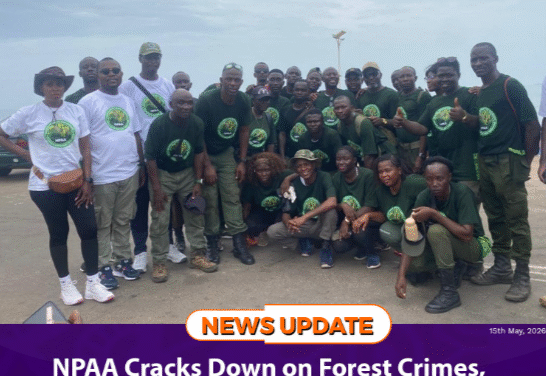 NPAA Cracks Down on Forest Crimes, Records Dozens of Arrests & Convictions